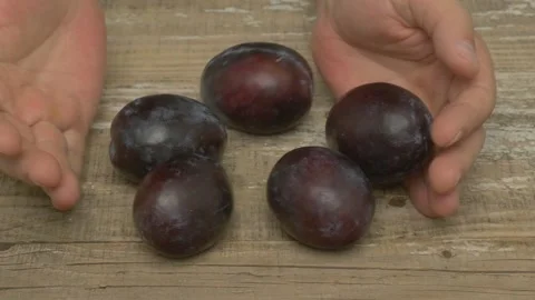 Fresh, ripe plums held gently in hands, showcasing their vibrant color and juicy Stock Footage 282082413