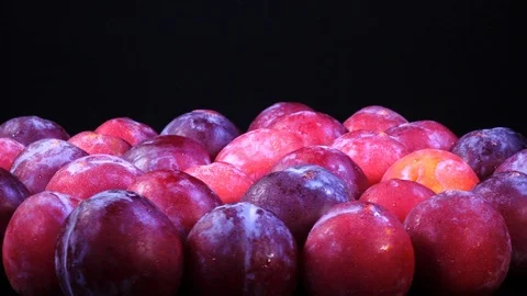 Fresh ripe plums rotating on black background in 4K 스톡 동영상 86974894