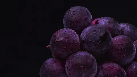 Fresh ripe purple grape bunch with water droplet studio black background Stock Footage 340554599