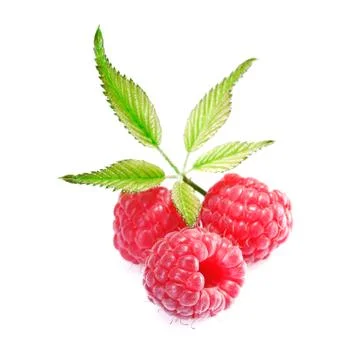 Fresh ripe raspberries Stock Photos