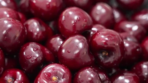 Fresh Ripe Red Cherries Background with Water Drops Stock Footage 343020314