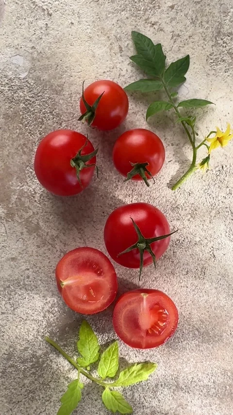 Fresh ripe red cherry tomatoes moving on a concrete background Stock Footage 337713486