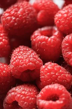 Fresh ripe red raspberries background. Stock Photos