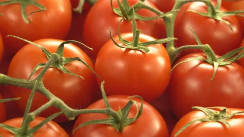 Fresh ripe red tomatoes rotate on a plate Stock Footage 110271384