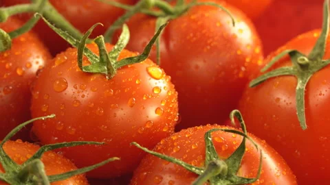 Fresh ripe red tomatoes rotate on a plate Stock Footage 110276813