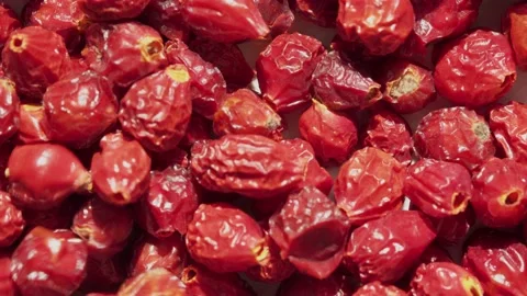 Fresh ripe rose hips, dry briar berries or dog rose fruits with seed, healthy Stock Footage 185461691