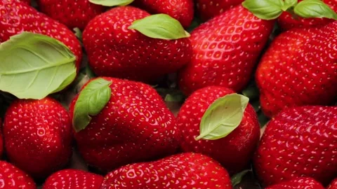 Fresh ripe strawberries and green basil leaves in a circular composition, top Stock Footage 306153353