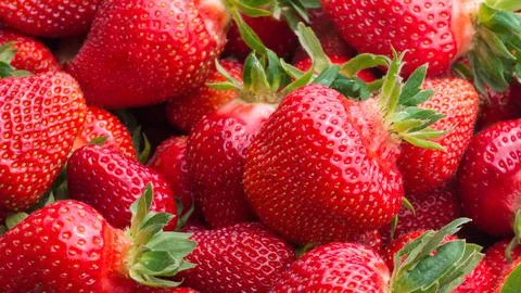 Fresh ripe strawberries Stock Photos