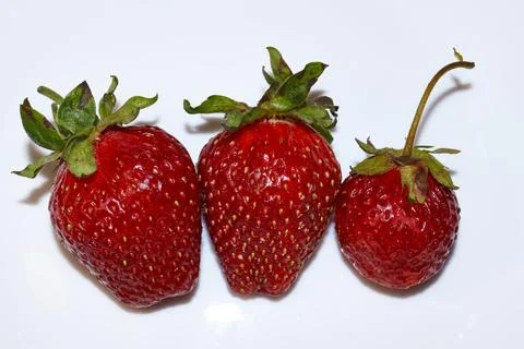Fresh ripe strawberries on a white background. Still-life Stock Photos