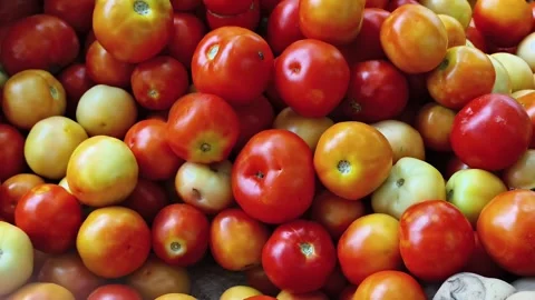 Fresh Ripe Tomatoes Displayed at Vegetable Market, Healthy Organic Produce B Stock Footage 338356017