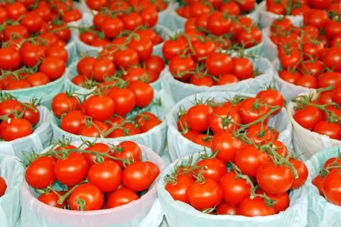 Fresh ripe tomatoes Stock Photos