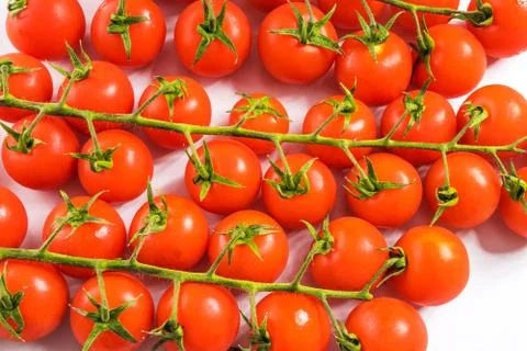 Fresh ripe tomatoes Stock Photos