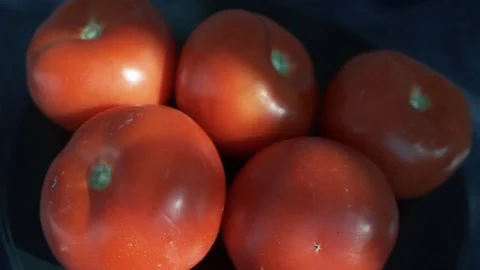 Fresh ripe tomatoes rotating on back background. Group of tomatoes 動画素材 112267160