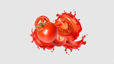 Fresh Ripe Tomatoes Splash with Alpha Channel – Transparent Food Animation Video stock 304171679