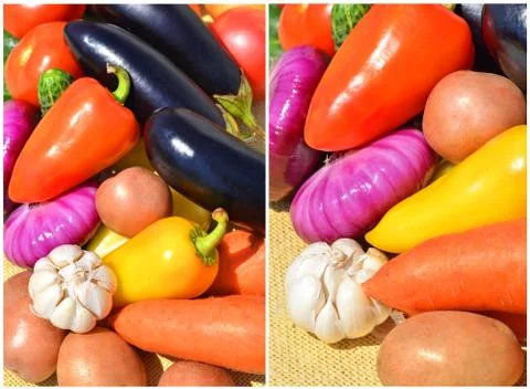 Fresh ripe vegetables Stock Photos