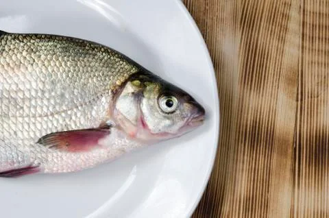 Fresh river bream Foto stock