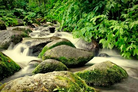 Fresh river flow Stockfoto's