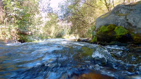 Fresh river flows between Video stock 266171214