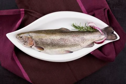 Fresh river trout Stock Photos