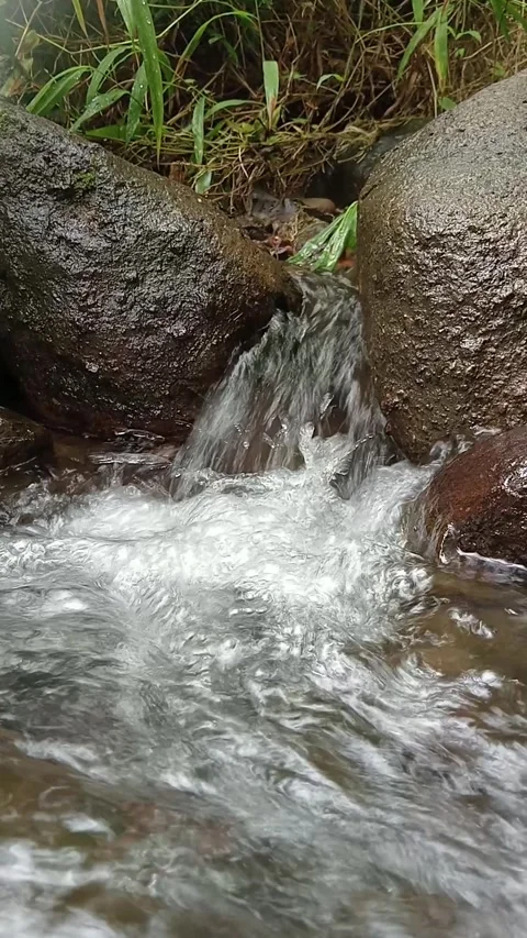 Fresh River Water Flowing Over Stones Close-Up Stock Footage 330517340