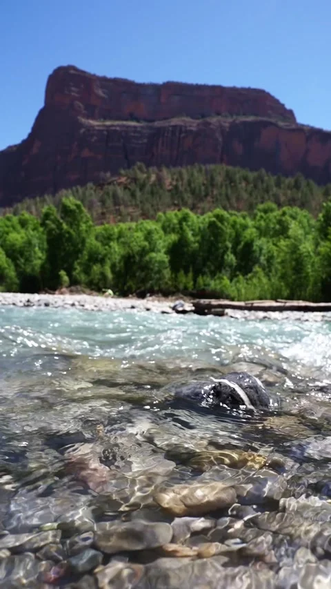 Fresh river water flowing over rocks in Imsfrane Atlas Mountains Stock Footage 342350139