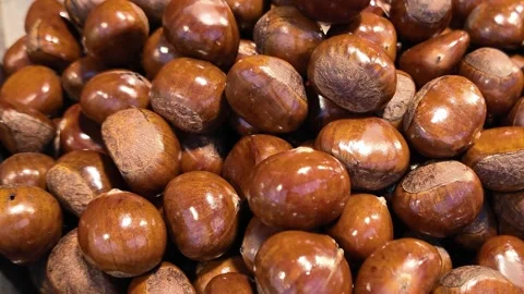 Fresh Roasted Chestnuts Close-Up, Shiny Brown Texture Background Video stock 329369170