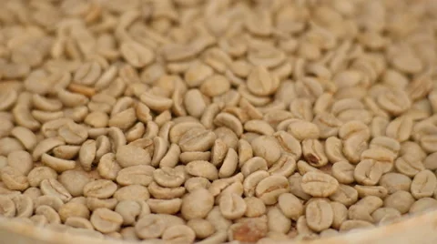 Fresh roasted coffee bean 스톡 동영상 61798401