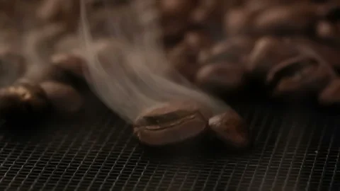 Fresh roasted coffee beans cooling on tray Stock Footage 102623091