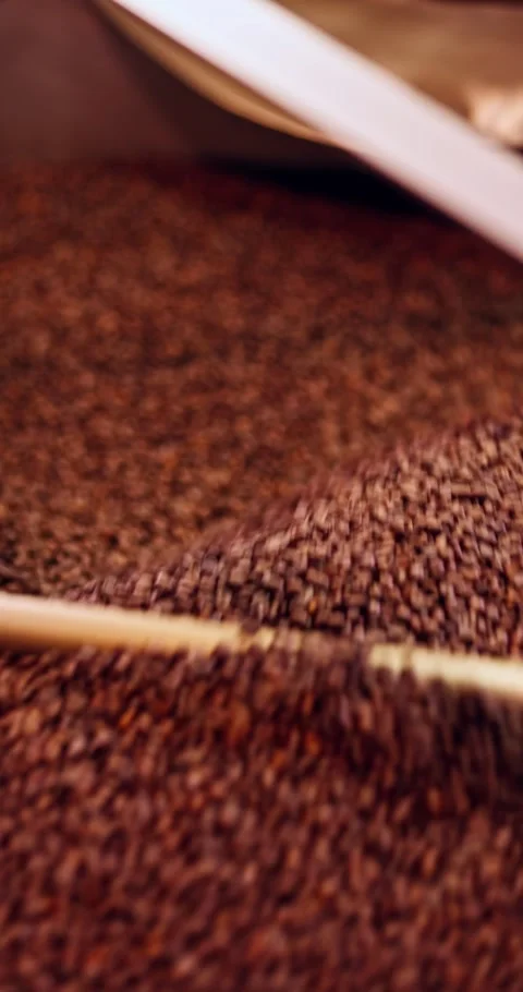 Fresh Roasted Coffee Beans Cooling In Roasting Tray 스톡 동영상 331053961