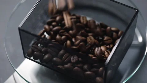Fresh roasted coffee beans falling in box Stock Footage 168570607