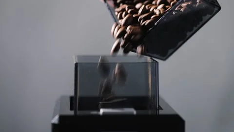 Fresh roasted coffee beans falling in box Video stock 168571484