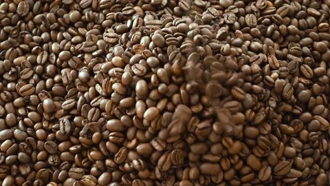 Fresh roasted coffee beans falling down Video stock 239923139
