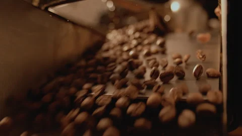 Fresh roasted coffee beans falling out from a cooling plate. Coffee industry Stock Footage 258196014