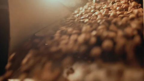Fresh roasted coffee beans falling out from a cooling plate of an oven to be Stock Footage 269453437