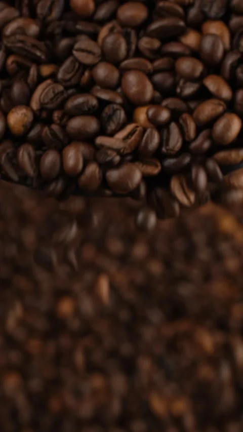 Fresh roasted coffee beans falling down, top view Video stock 300183064