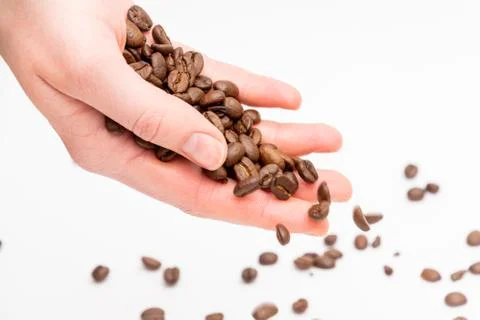 Fresh roasted coffee beans falling out of hand in front of white background Stock Photos