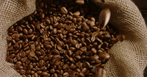 Fresh roasted coffee beans falls, pour into jute bag. Concept of storage Stock Footage 240314406
