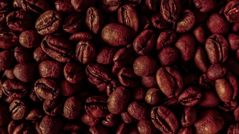 Fresh roasted coffee beans Stock Footage 147544428