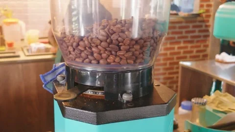 Fresh roasted coffee beans inside a hopper of a grinder in a cafe. 库存影片 343399006