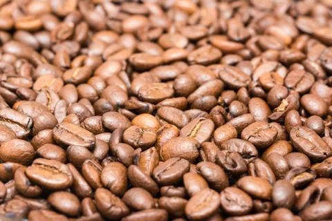 Fresh Roasted Coffee Beans Stock Photos