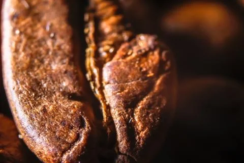 Fresh roasted coffee beans Foto stock