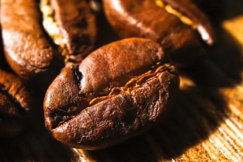 Fresh roasted coffee beans Stock Photos