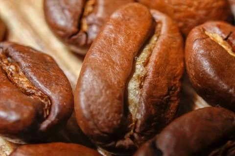 Fresh roasted coffee beans Stock Photos