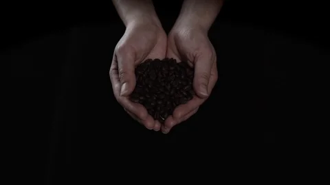 Fresh roasted coffee beans pouring from hands, slow motion footage Stock Footage 104949560