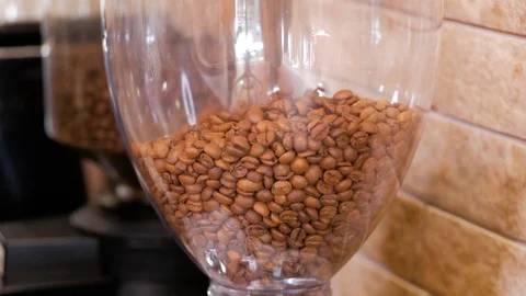 Fresh roasted coffee beans pouring in a grinder. Stock Footage 105646086