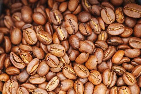 Fresh roasted coffee beans ready for brewing Stock Photos