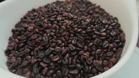Fresh roasted coffee cooling off Stock Footage 296198006
