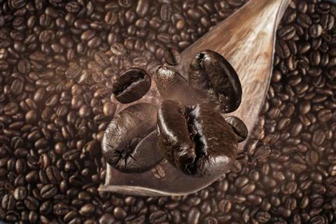 Fresh roasted falling coffee beans concept Stock Photos