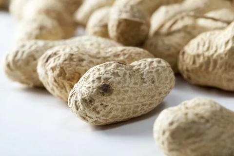 Fresh roasted peanuts Foto stock