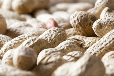 Fresh roasted peanuts 写真素材